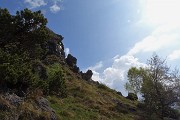 Alla Madonna delle Cime sul Corno Zuccone (1458 m) da Reggetto di Vedeseta il 14 maggio 2017 - FOTOGALLERY